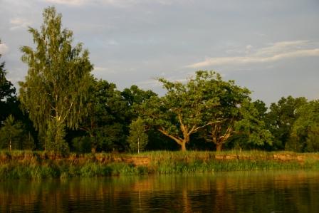 Das linke Ufer der Beresina