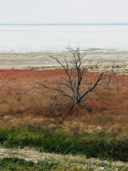 einem trockenen See ...