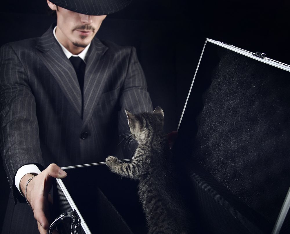 Gestreifte Element [Episode II]