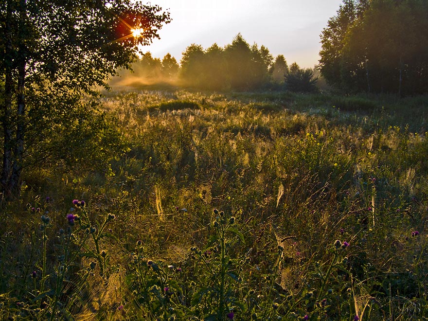 Wenn der Nebel geht weg