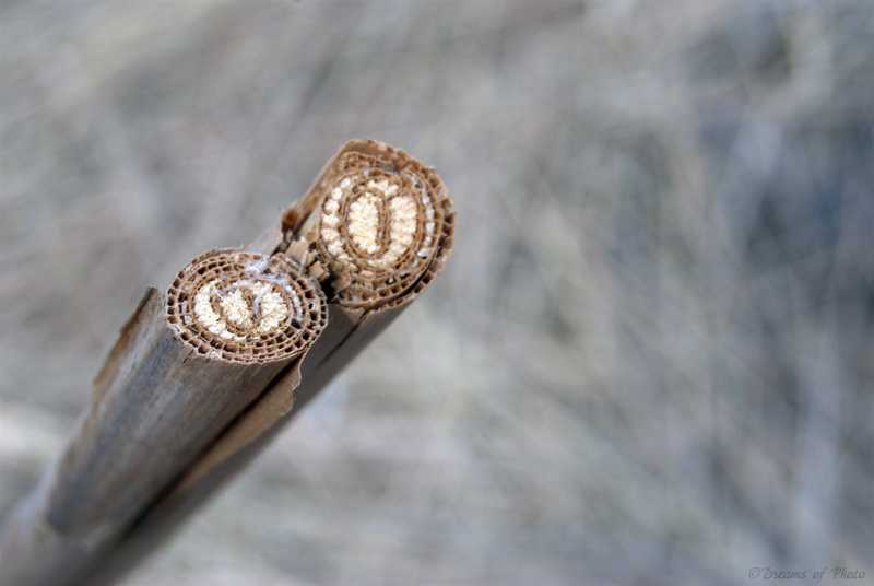 Der Herbst ist nah ..