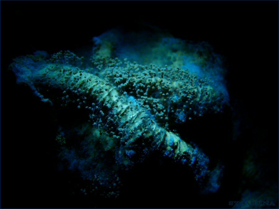 Ashes to ashes, dust to dust