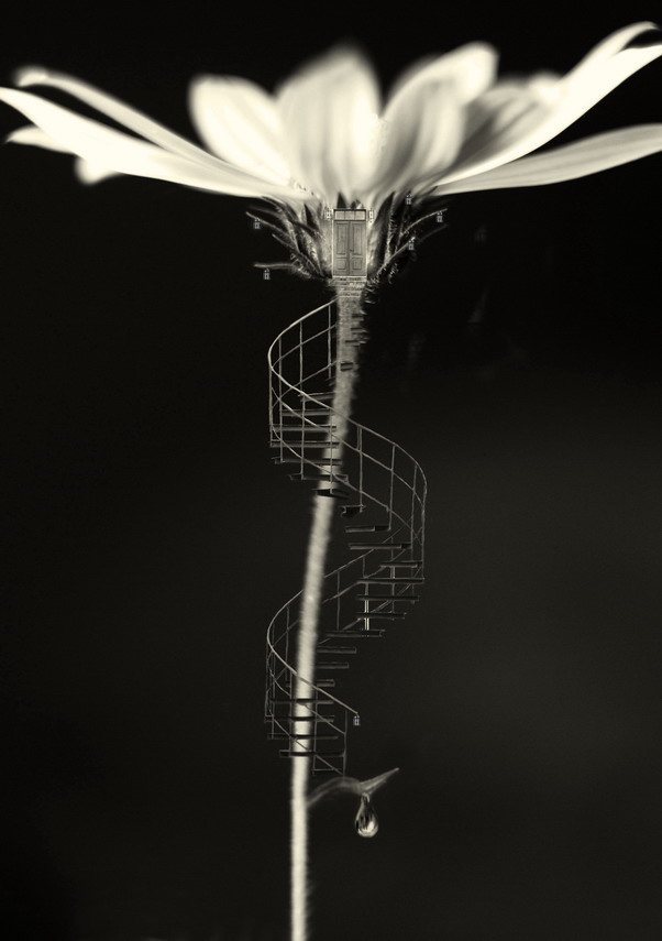 Das geheime Leben der 1.