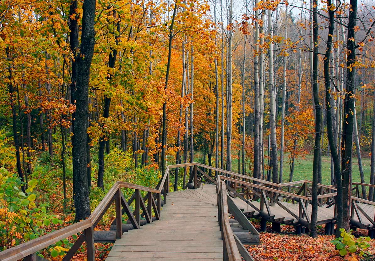 Jedes Mal, wenn die besten