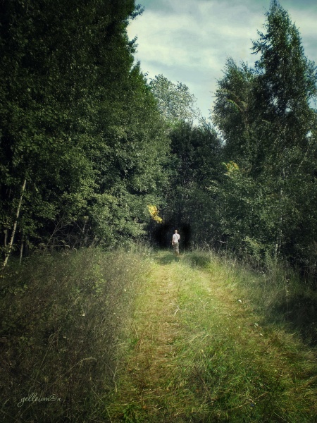 Auf dem Weg in den dunklen Wald ...