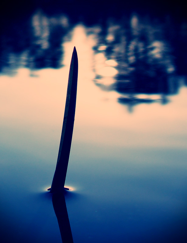 Unterschlupf Samurai