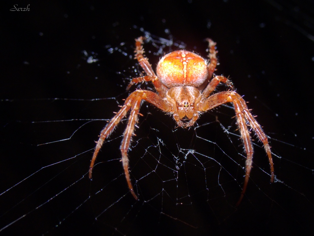 Warten Sie, ich vermisse