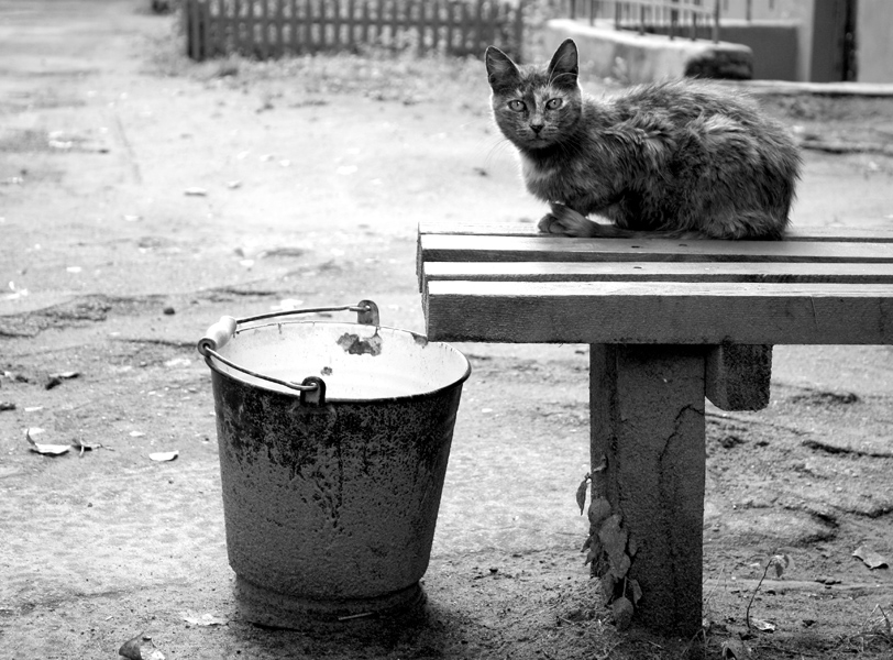 Oh, ich will etwas Tee ....