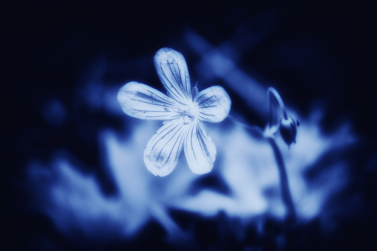 eine blaue Farbe - III