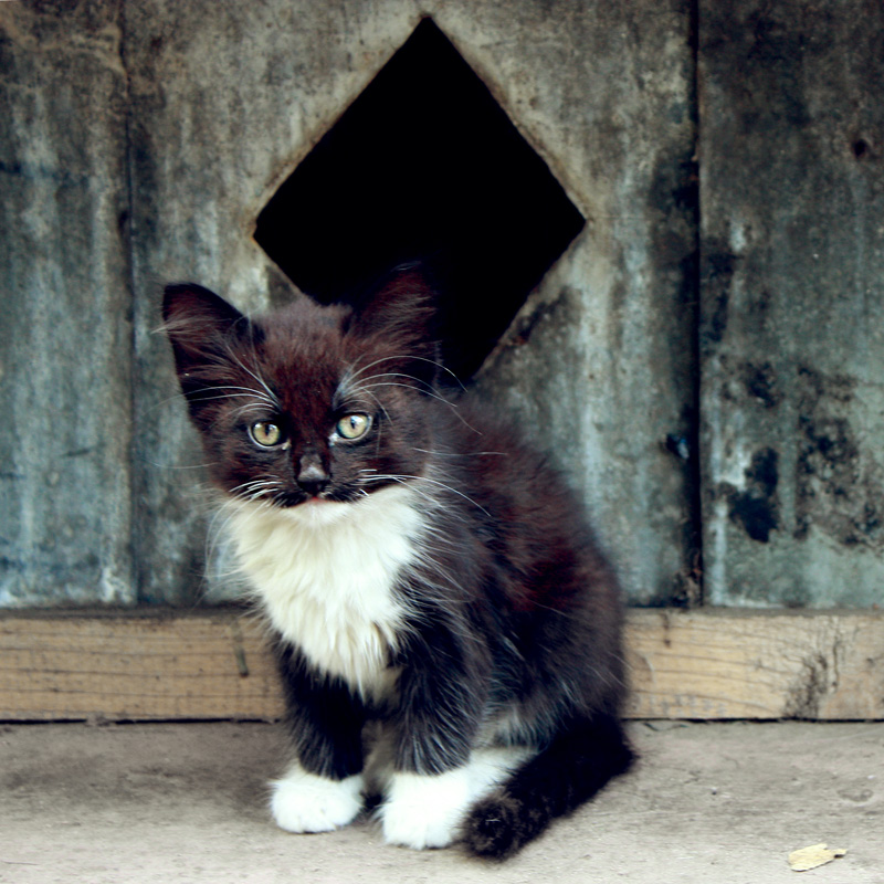 Hier lebe ich zdesya ...