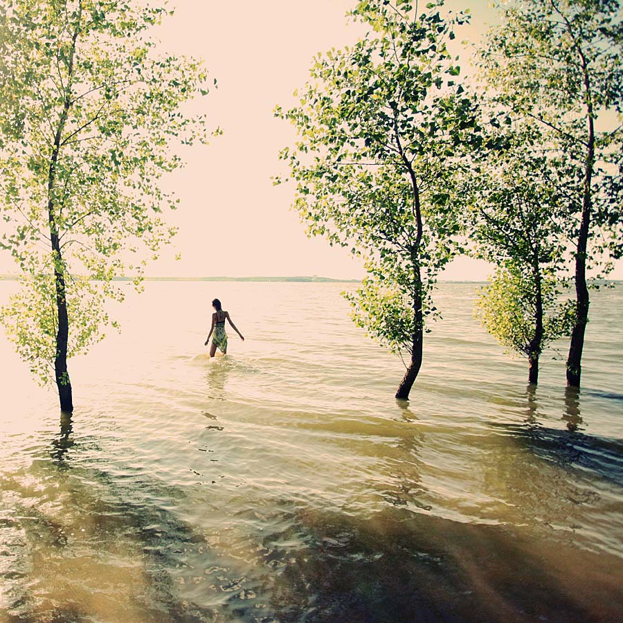 verschwindenden Bild