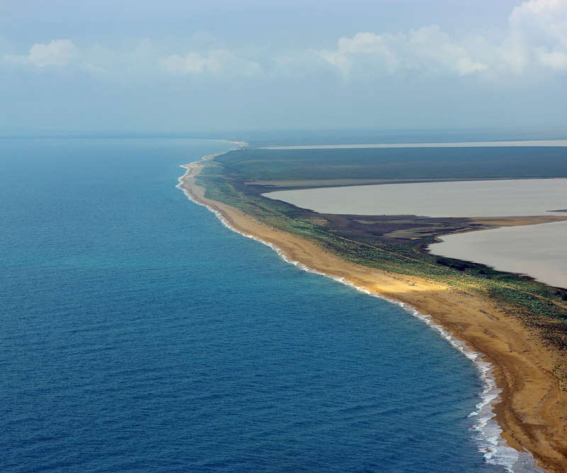im Hinblick auf die Möwen