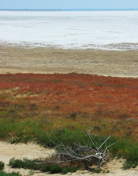 einem trockenen See-2 ...