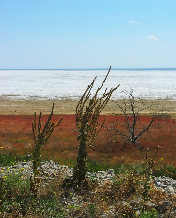 einem trockenen See-3 ...