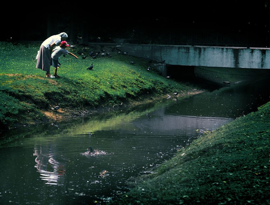 Eine überraschend hohe Zahl von