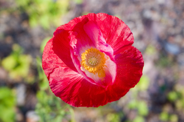 erweitern das Bewusstsein, vorsichtig zu sein!