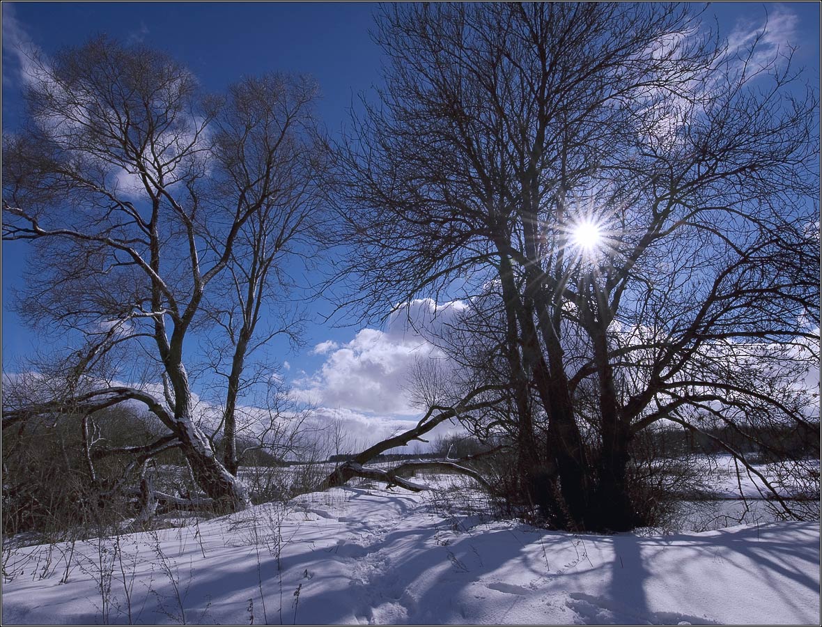 In Erinnerung an die Zukunft