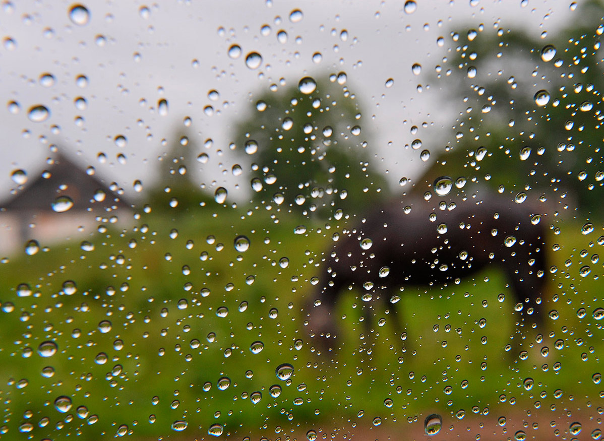 Von den Provinzen mit der Liebe