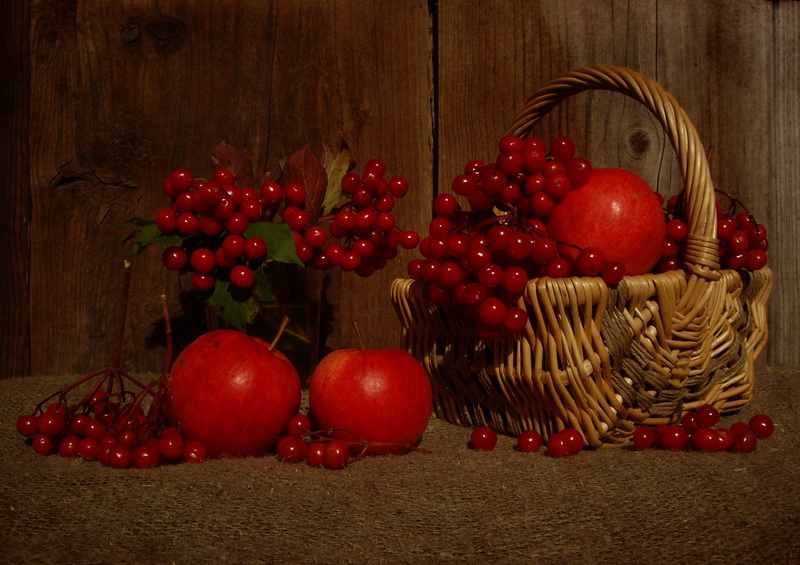Kalinovoe Stillleben