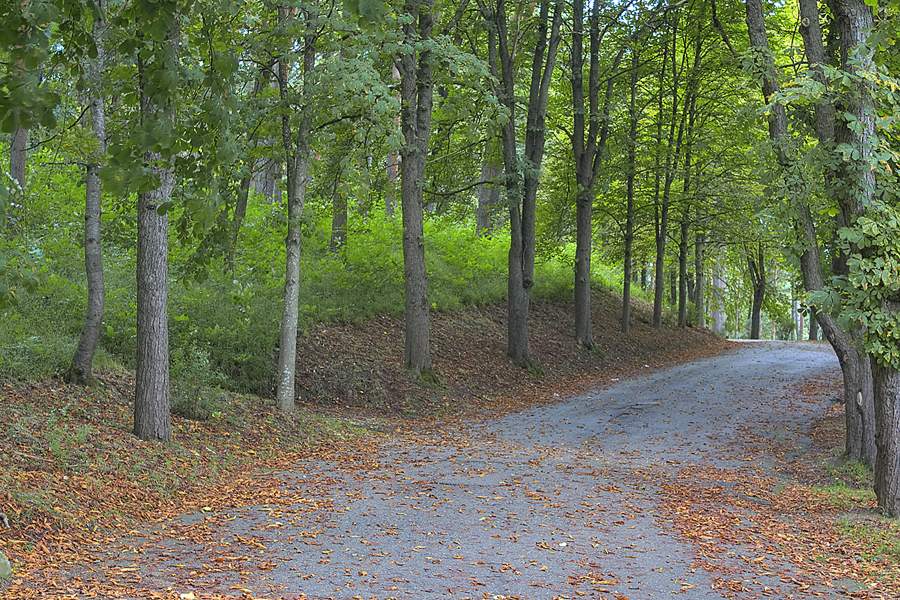 Woher kommt der Sommer ..