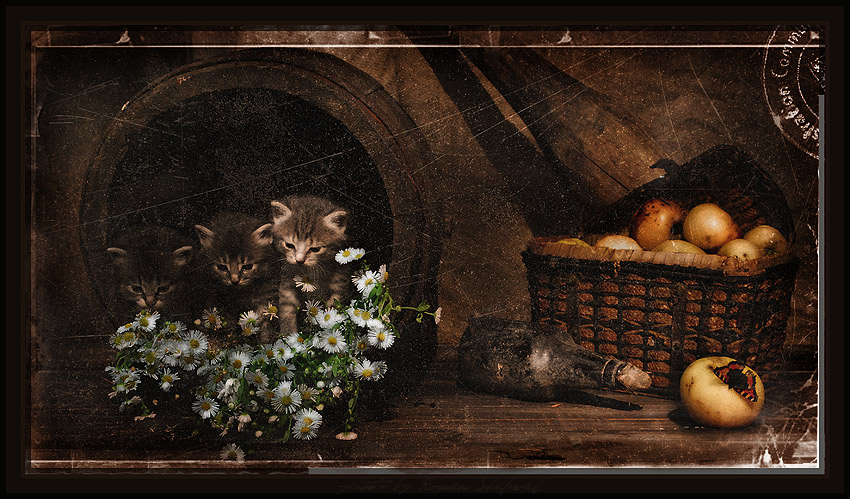 Und ein wenig Zärtlichkeit ...