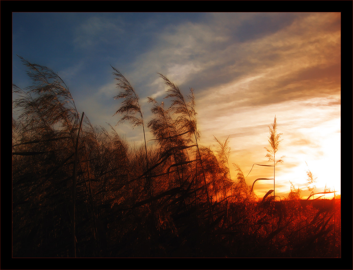 Brennen in den Flammen auf den Sonnenuntergang ...