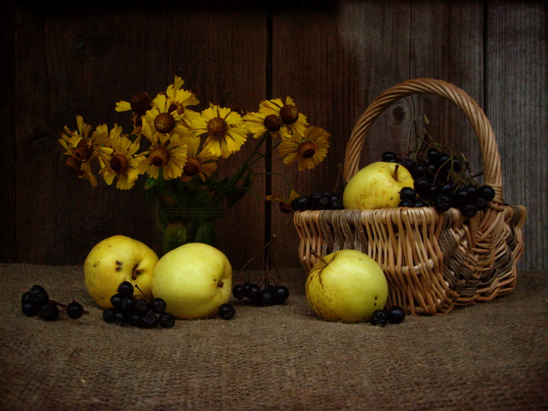 Chernoryabinovy Still Life (repost)