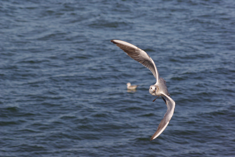 Flugtests. Überlast.