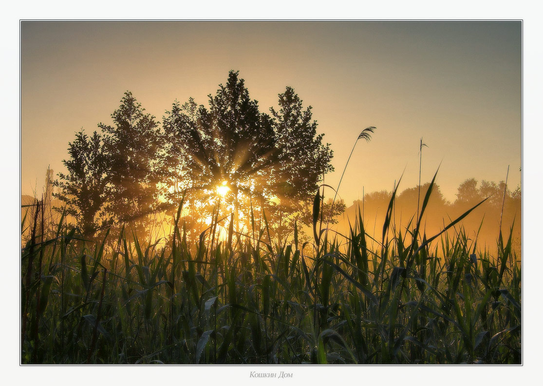 Gegen Morgengrauen ...