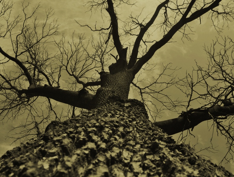 Der Weg zu den Wolken