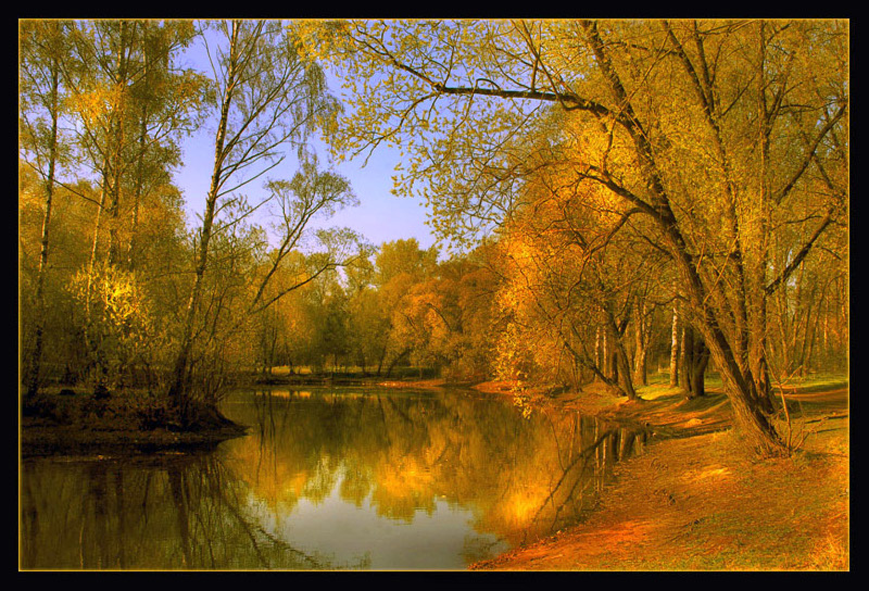 Nachmittags mein Traum ..