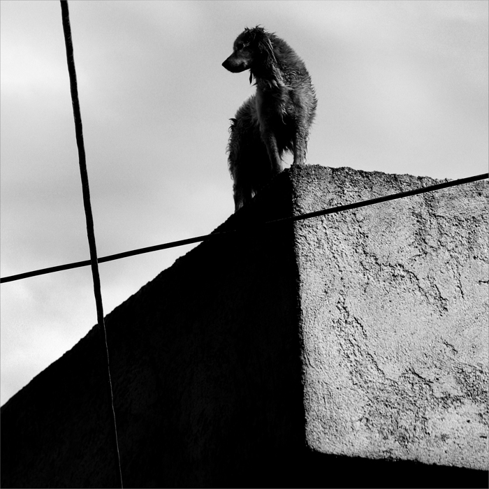 Night of the moon ..