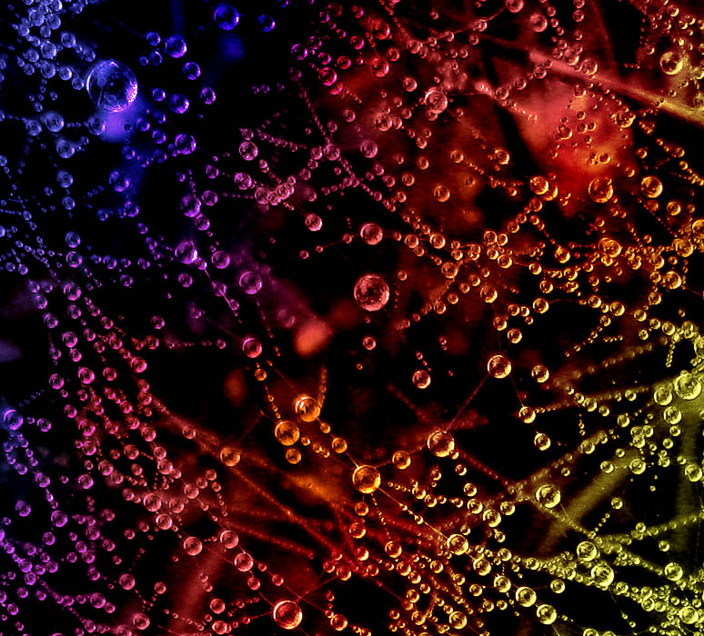 blood, sweat & tears