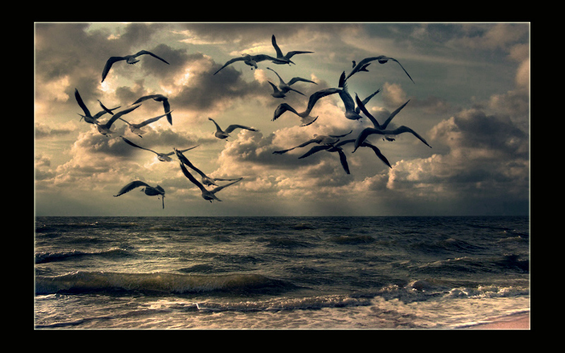 Und atmete sie nie verlassen wird ......