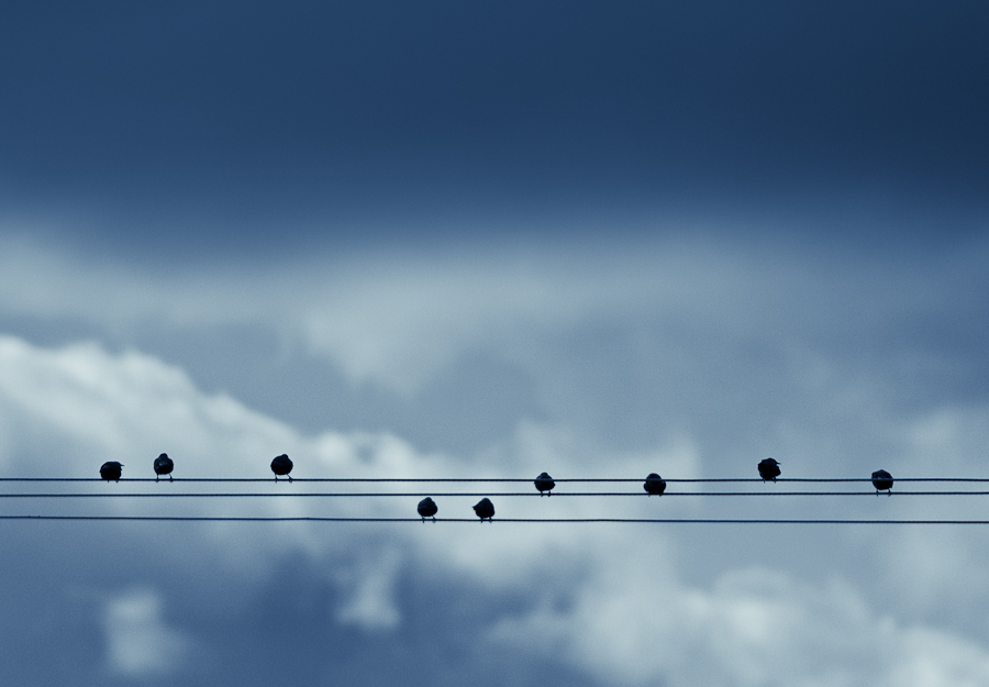 Pjotr Iljitsch Tschaikowsky