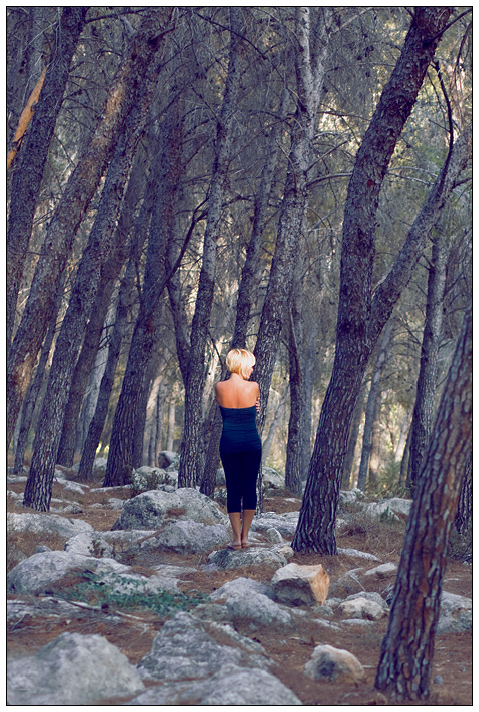 In der dunkelblauen Wald ...