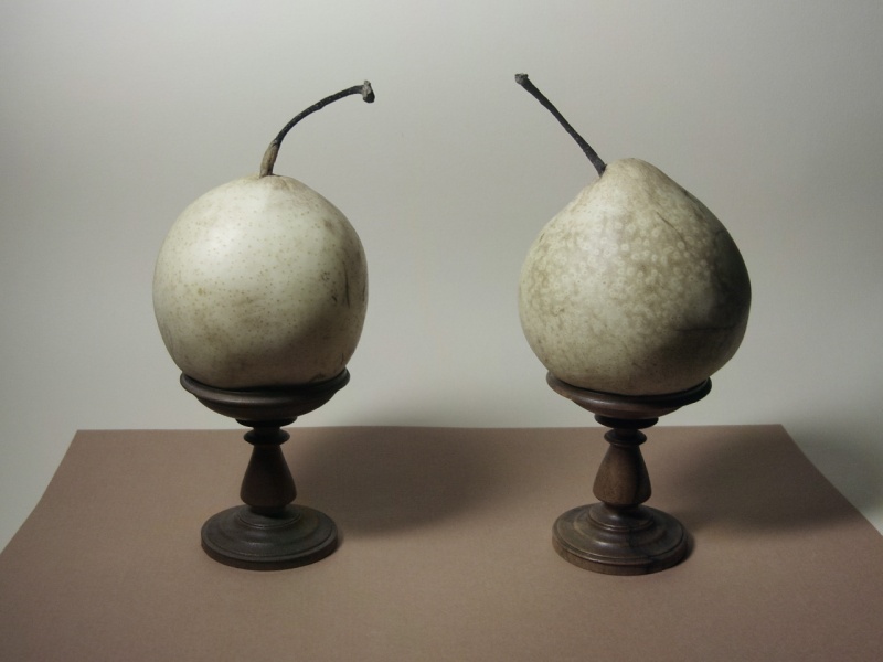 Zwei der Einsamkeit oder Ähnlichkeit der verschiedenen