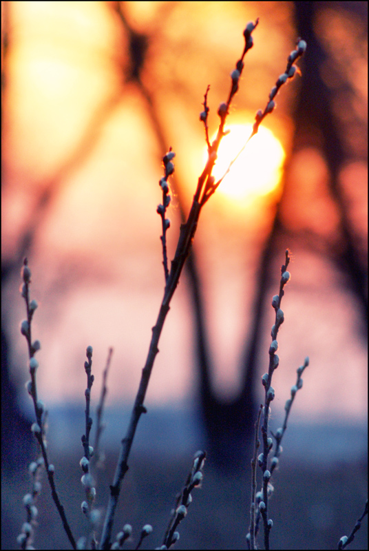 Aus der Perspektive der Feder.