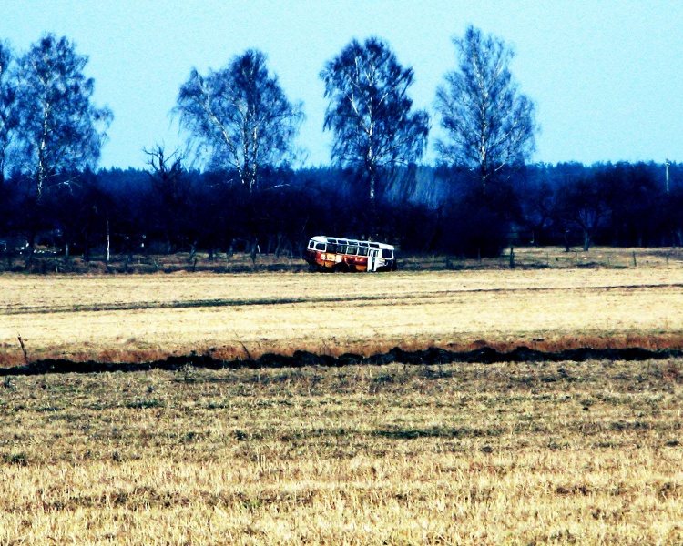 diesem achten zhudasnaya "kartsіnka"