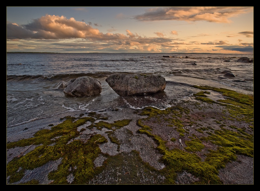 Auf die Einzigartigkeit der Natur des Nordens ....