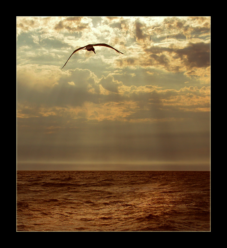 Es war gerade unter der Sonne entgegen .. und keine Angst zu verbrennen ..