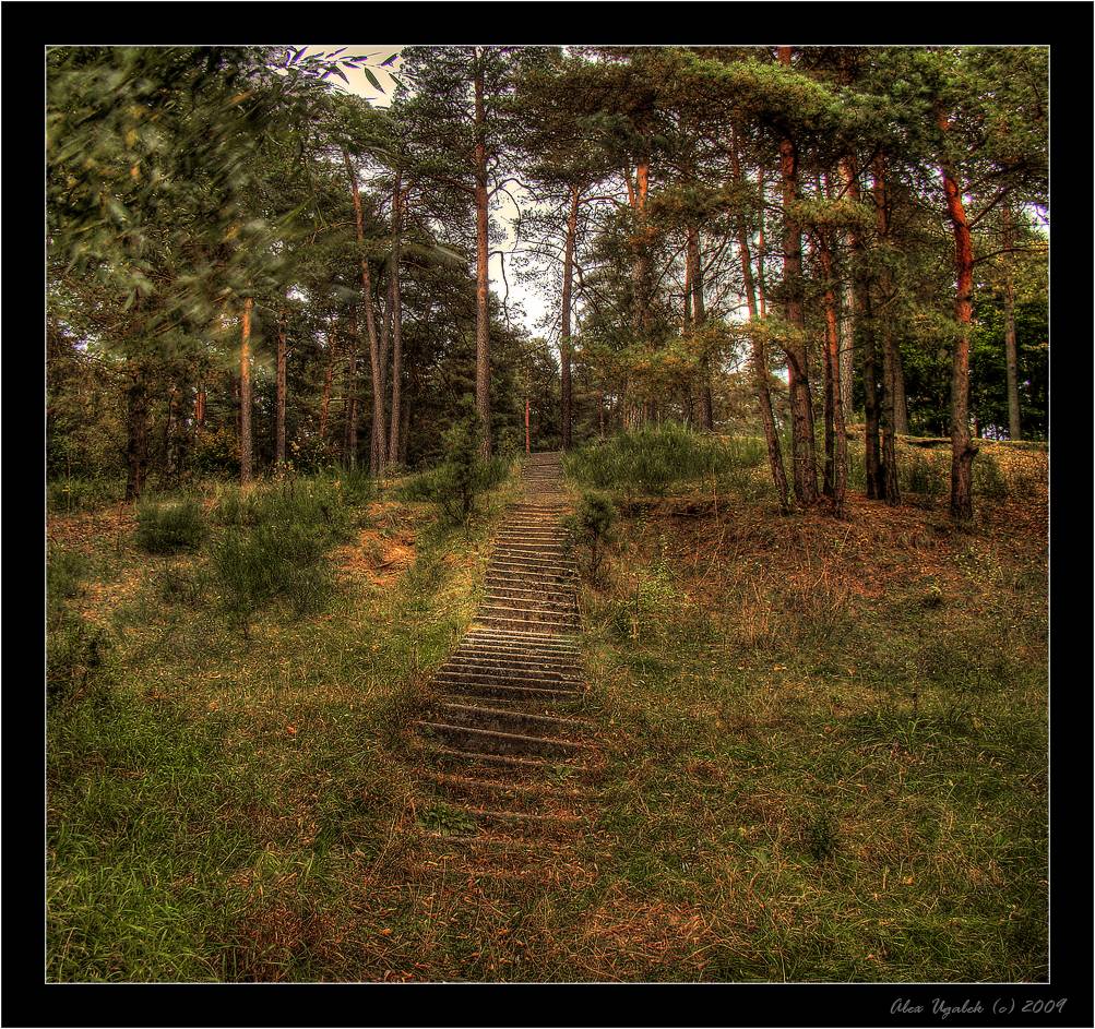 ...... Eine Spur .........