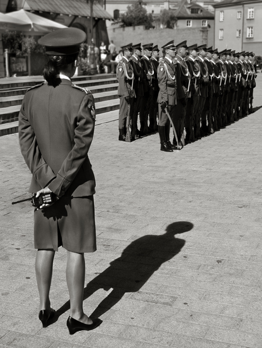 Evolution der Dominanz