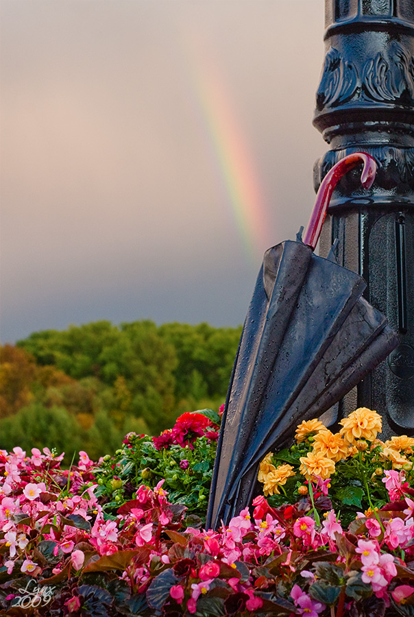 Herbst unter einem Regenbogen zu Fuß