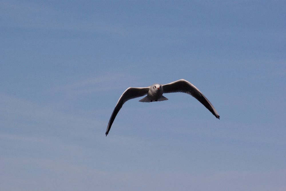 Flugtests. Transportarbeiter "Ruslan"