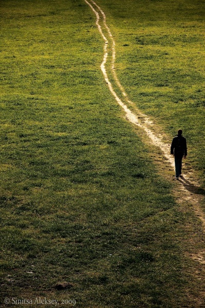 Der Weg an die Spitze.