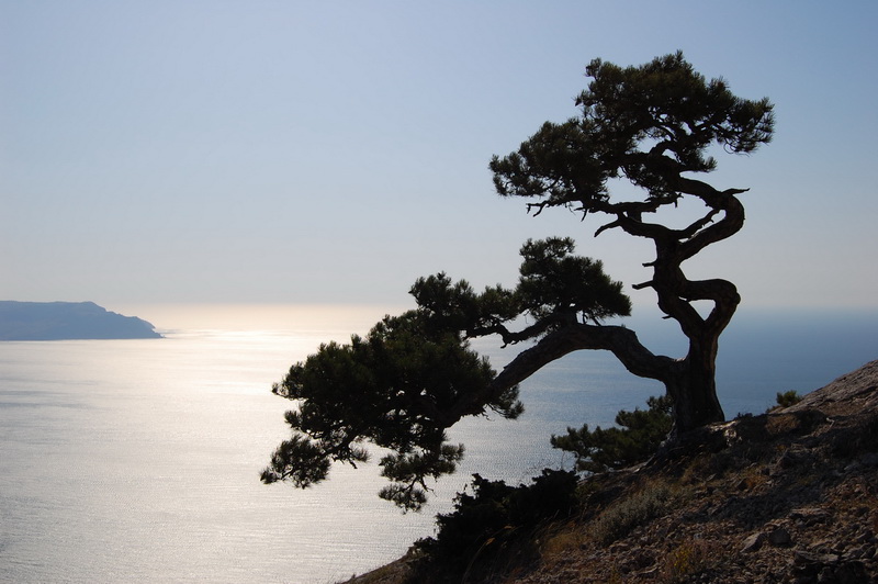 Krim. Neue Welt. Blick vom Mount Falcon