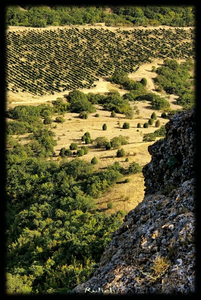 Linearität des Chaos