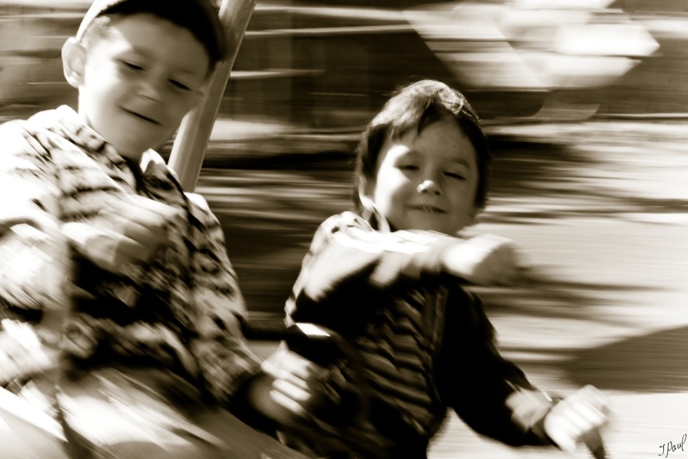 fliegen !!!!!!!!!!!!