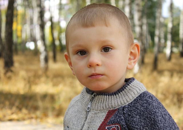 Bald wird die Armee ...